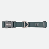 Odour proof silicone dog collar